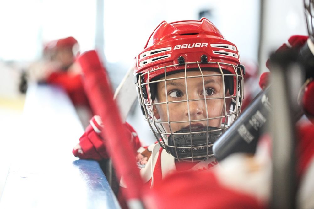 Elitserien ishockey  En omfattande inblick i Sveriges främsta hockeyliga